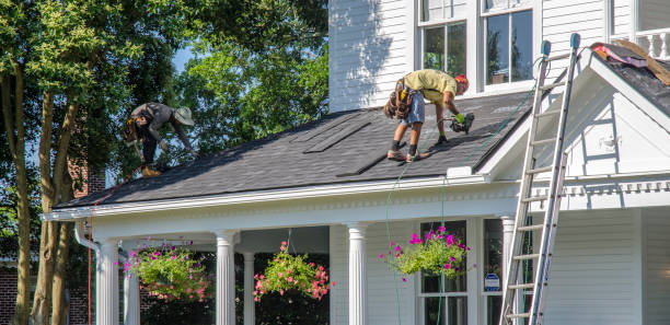 Best Roof Gutter Cleaning  in Quitman, MS