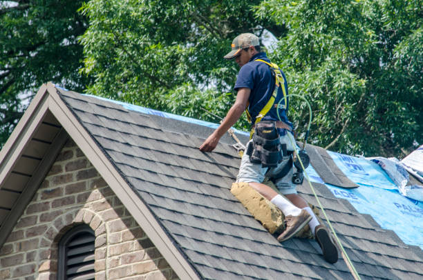 Quick and Trustworthy Emergency Roof Repair Services in Quitman, MS